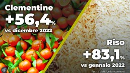 Aumento dei prezzi dei prodotti alimentari, i rincari di gennaio 2023