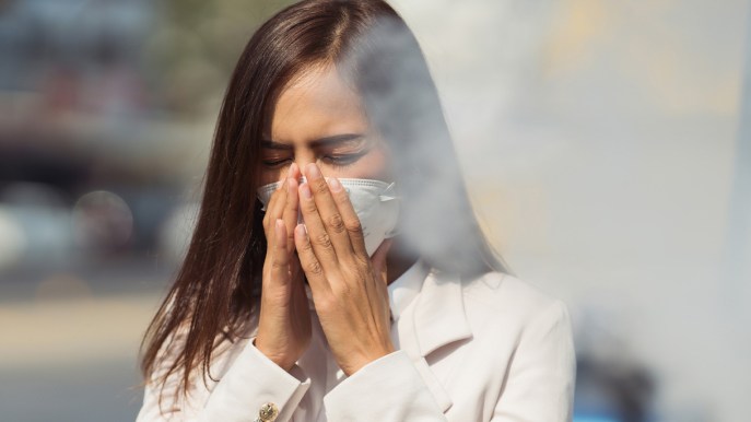L’inquinamento danneggia anche il nostro olfatto