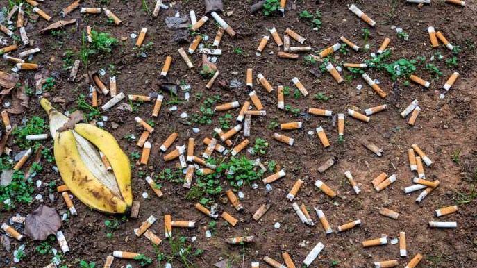 Fumare fa male anche all’ambiente: ecco le prove