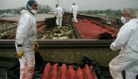 Problemi di amianto? La soluzione per rimuoverlo e smaltirlo