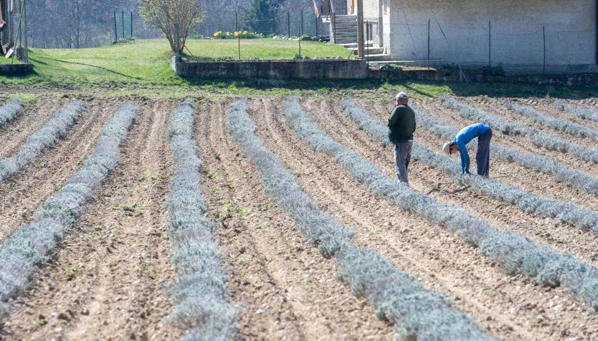 Previsti aumenti record in estate: quanto ci costa la siccità