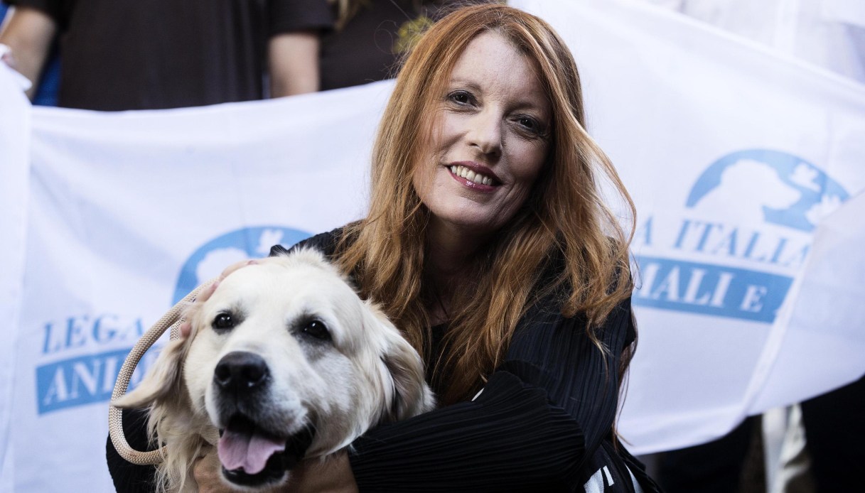 Carcere per chi abbandona gli animali: la proposta