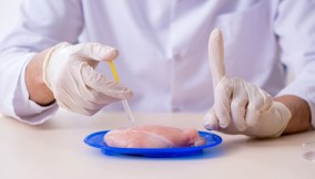 pollo creato in laboratorio arriva nei ristoranti e nei supermercati