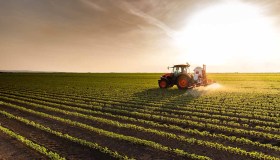 Ue apre agli OGM, cosa cambia con le nuove tecniche genomiche