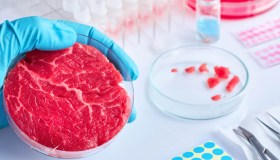 Via libera alla vendita di carne coltivata negli Usa