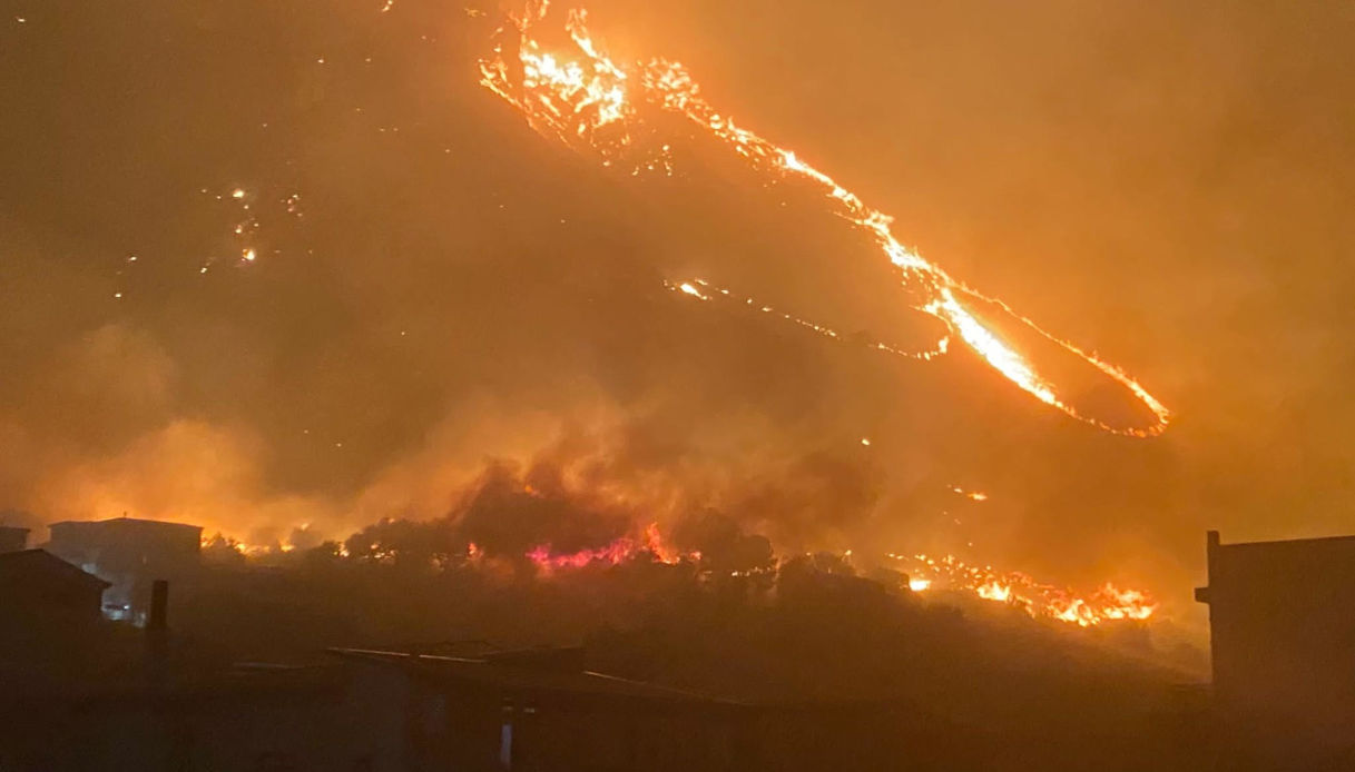 51mila ettari in cenere da gennaio: cosa vogliono i piromani