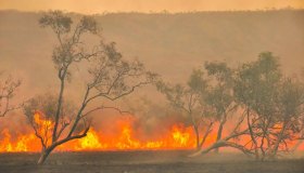 Incendi in Sicilia, l’Arpa lancia l’allarme su queste sostanze