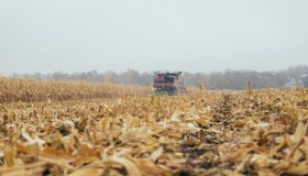 Così il caldo spazzerà via le imprese italiane: chi rischia di più
