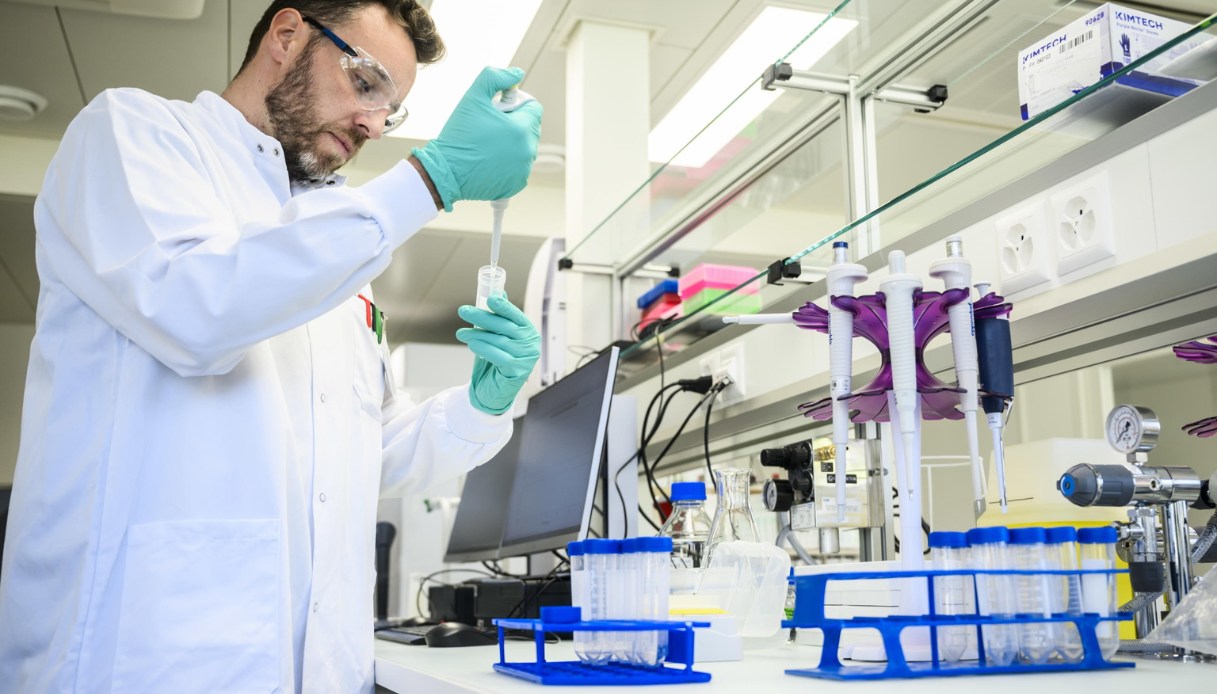 Il nuovo allarme Ue si chiama bisfenolo: dove si trova e cosa provoca