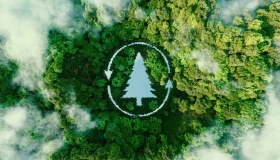 “I progetti di riforestazione delle grandi aziende non sono reali”