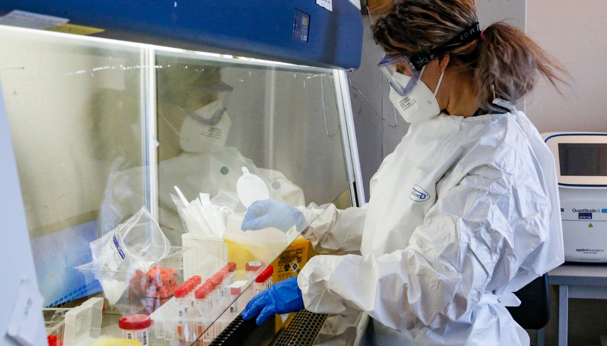 Cos’è la malattia X che può causare una pandemia con 50 mln di morti