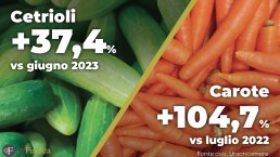 Aumento dei prezzi dei prodotti alimentari, i rincari di luglio 2023