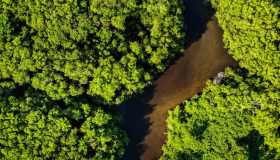 Carbon offsetting, nasce il nuovo rating italiano per le aziende