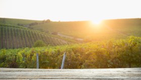 Per il cambiamento climatico a rischio il vino italiano: cosa potrebbe sparire dalle tavole