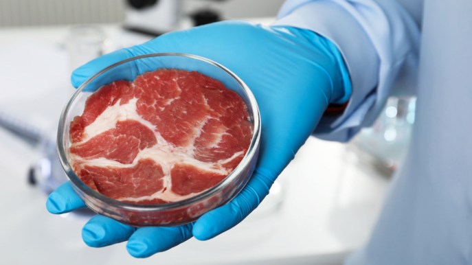 Dal laboratorio alla tavola: il futuro della carne coltivata tra innovazione e sfide ambientali
