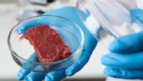 Carne sintetica vietata in Italia, i rischi