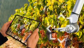 Vigne sempre più tech: via al progetto che avvicina produttori di vino e startup
