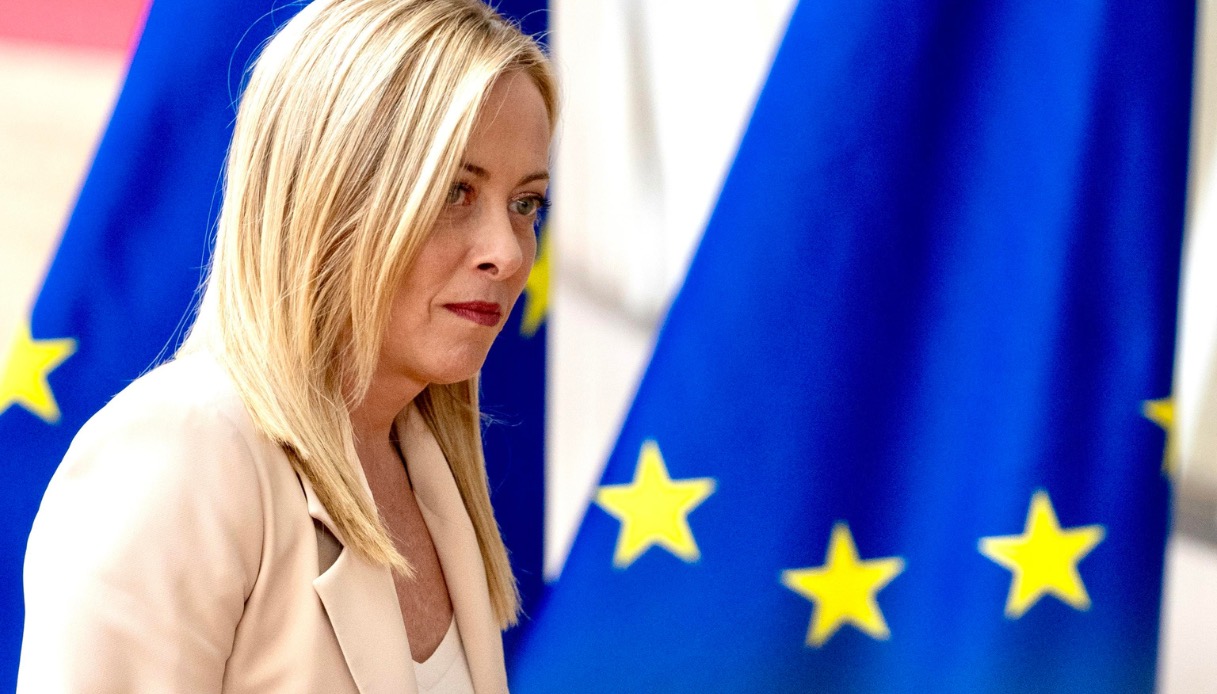 Allevamenti e vendita di cani e gatti: nuove regole da Bruxelles per fermare il traffico