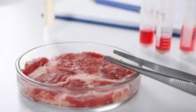 Da una cellula alla bistecca: com’è prodotta la carne coltivata in laboratorio