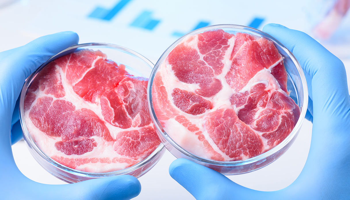 Carne Coltivata Pro E Contro Tra Sostenibilit E Alimentazione Quifinanza