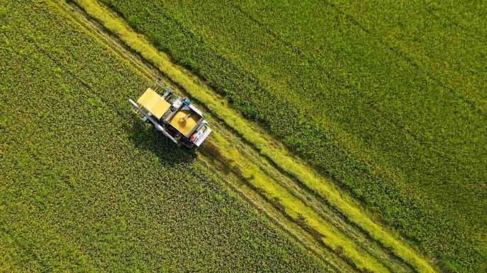 Green Deal, PAC, Ucraina, attività non più sostenibili: perché gli agricoltori europei protestano