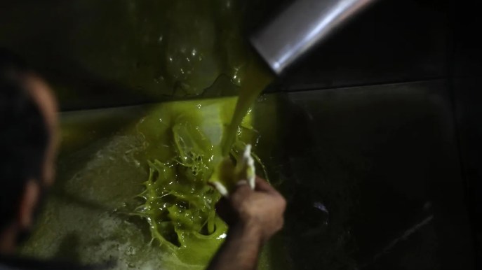 Olio d’oliva contraffatto, sequestrati più di 46mila litri in tutta Italia