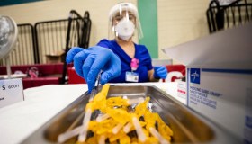 Vaiolo delle scimmie a Firenze, 10 casi in poche ore: come si trasmette, i sintomi