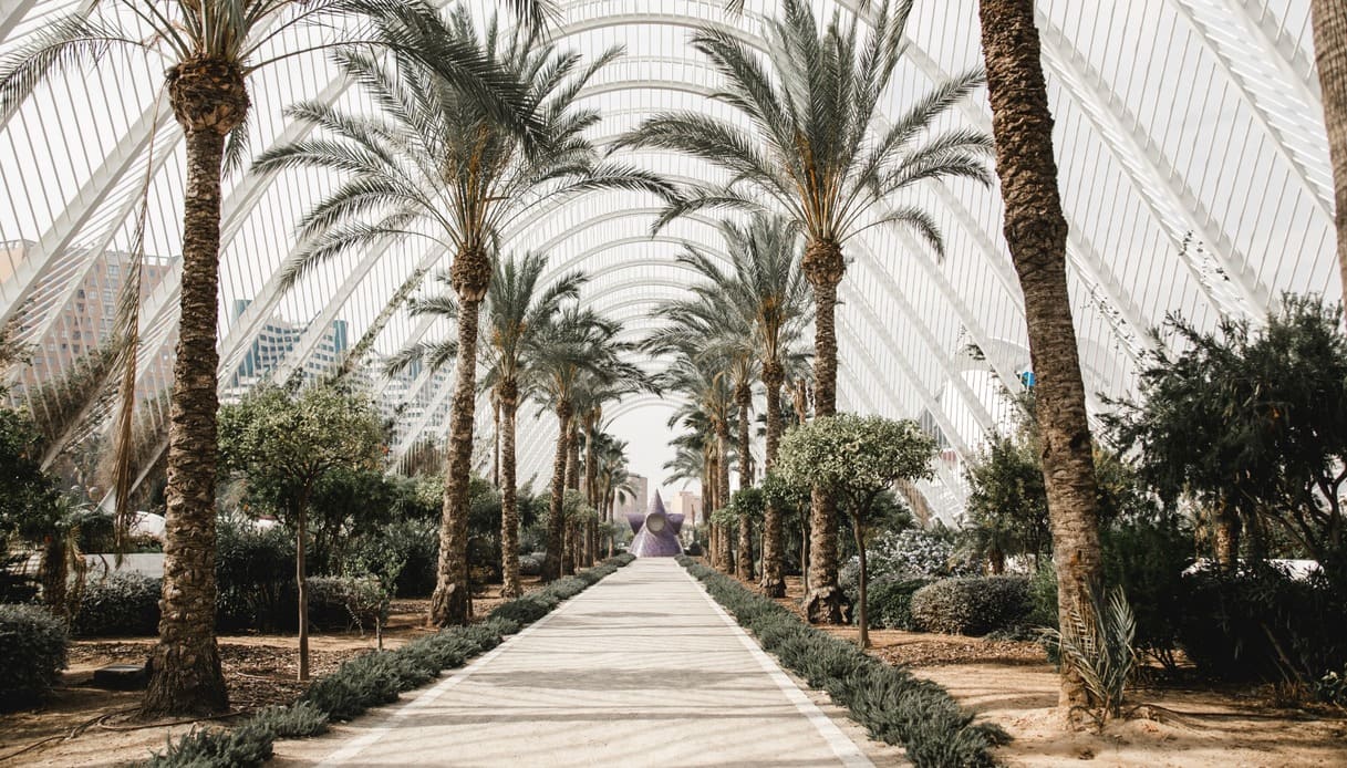 Città sostenibili, Valencia capitale verde 2024: “il faro” delle politiche green in Europa