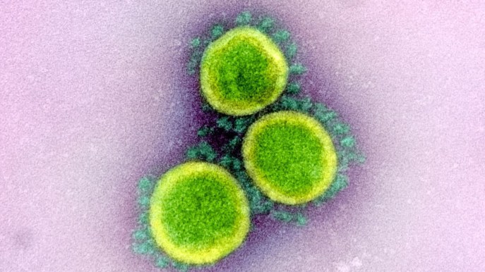 Malattia X, l’Oms avverte: Paesi impreparati alla prossima pandemia. Il parere di Ilaria Capua