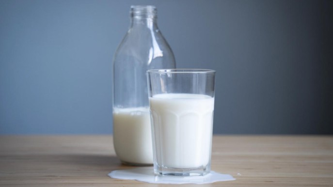 Cos’è il latte coltivato, dopo Israele anche il Canada apre alla vendita