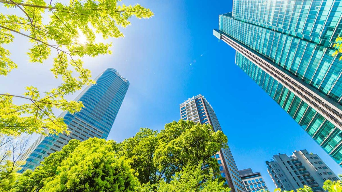 Città sostenibili, le strategie vincenti per metropoli più green
