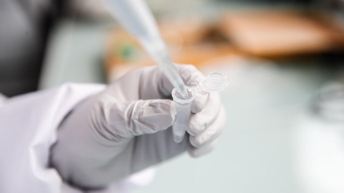 Pandemia di superbatteri, i virologi all’Aifa lanciano l’allarme: “È già in atto”