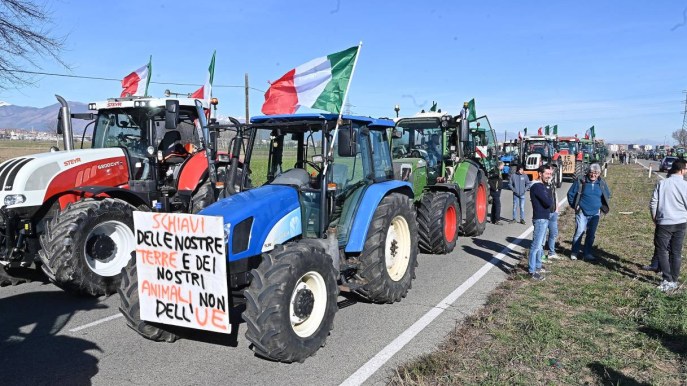 Protesta dei trattori, Ursula Von der Leyen ritira la riforma sui pesticidi