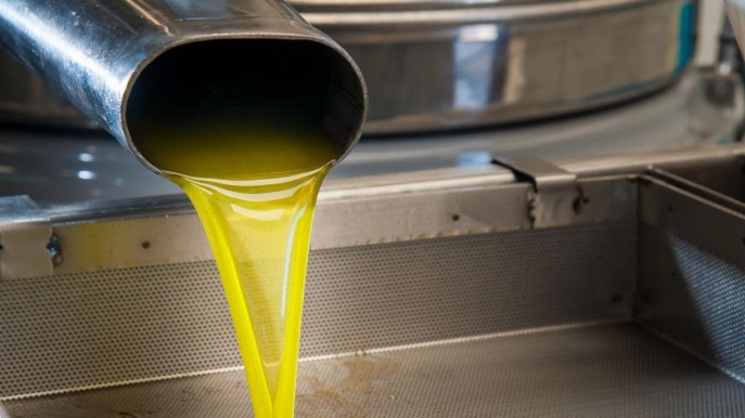 Prezzo olio d’oliva in aumento: perché i costi continuano a salire