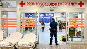Primavera in anticipo, allergie in aumento: sempre più ricoveri e accessi in ospedale