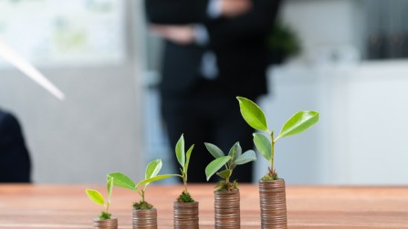 Il greenwashing sta rovinando le aziende, il 94% degli investitori non si fida dei bilanci di sostenibilità. “Ecco 10 consigli pratici”
