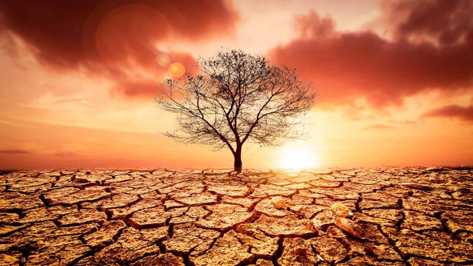 Giornata Mondiale della Salute, crisi climatica minaccia numero uno: si prevedono 250mila morti l’anno