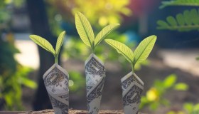 Fondi pensione sempre più focalizzati sui fattori Esg