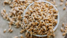 Riso integrale, trovati arsenico, cadmio e pesticidi in molti marchi: cosa significa