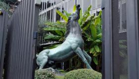 Sciopero Rai del 6 maggio boicottato dal sindacato Unirai: che succede nella tv di Stato