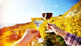 Enoturismo, tra esperienze, natura e qualità il comparto si rafforza nel 2024