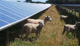 Consiglio dei Ministri, c’è l’accordo sul fotovoltaico, ma le associazioni protestano