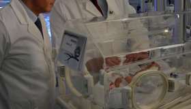 Ospedale di Verona, i tre neonati contagiati dal batterio killer stanno bene