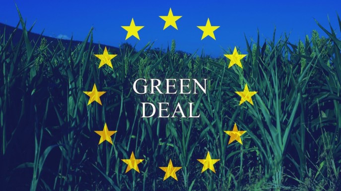 Elezioni europee, i programmi sull’ambiente dell’Ue e dei partiti italiani