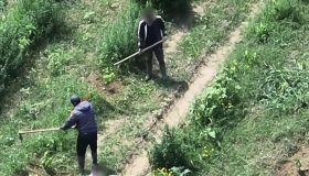 Caporalato nell’Agro Pontino, pensionati sfruttati nei campi: la denuncia