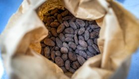 Il prezzo del cacao a giugno ha superato quota 9mila dollari a tonnellata: le ripercussioni sul mercato