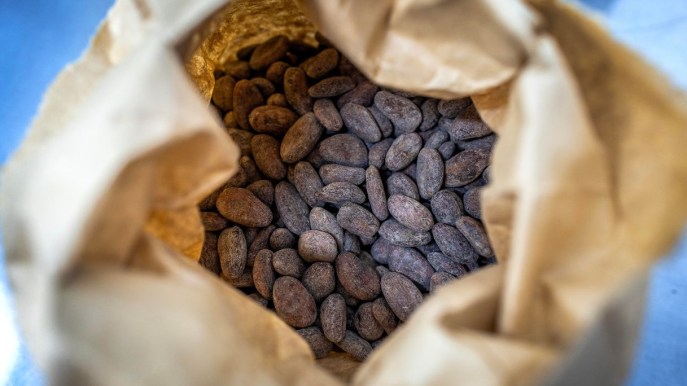 Il prezzo del cacao a giugno ha superato quota 9mila dollari a tonnellata: le ripercussioni sul mercato