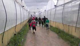 Troppi lavoratori in nero nelle campagne italiane. Cosa rischiano le aziende