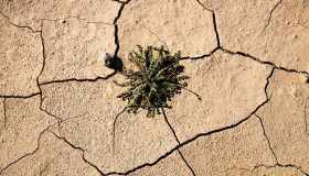 Desertificazione e siccità sono le sfide più urgenti, il 40% della superficie è degradata