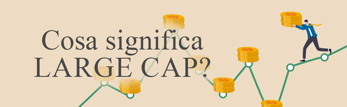Large Cap
